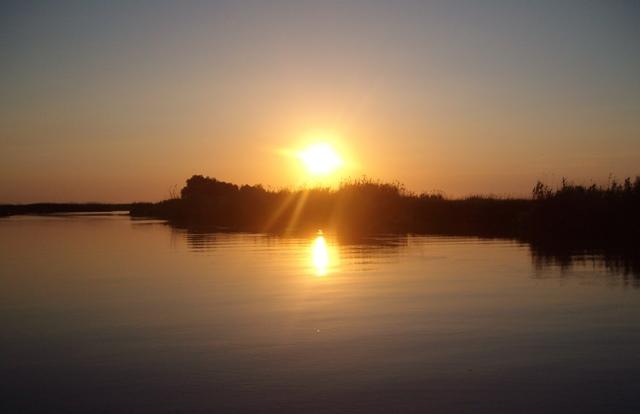 Delta forever - sany6794.JPG